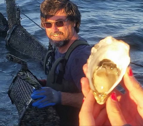 Southern Yorke Oysters - Inverell Accommodation 0