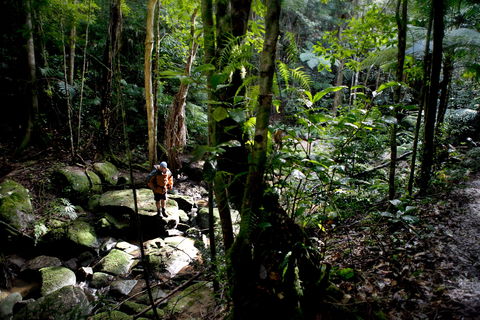 Strickland State Forest - Inverell Accommodation 0