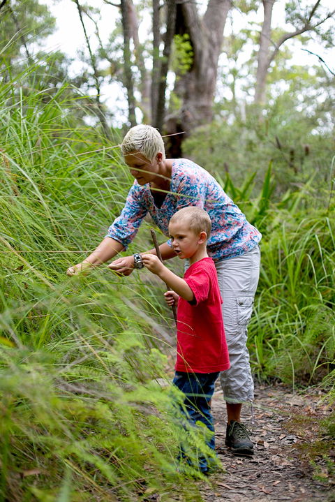 Strickland State Forest - Inverell Accommodation 2
