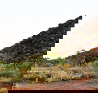 Whyalla Conservation Park - Inverell Accommodation