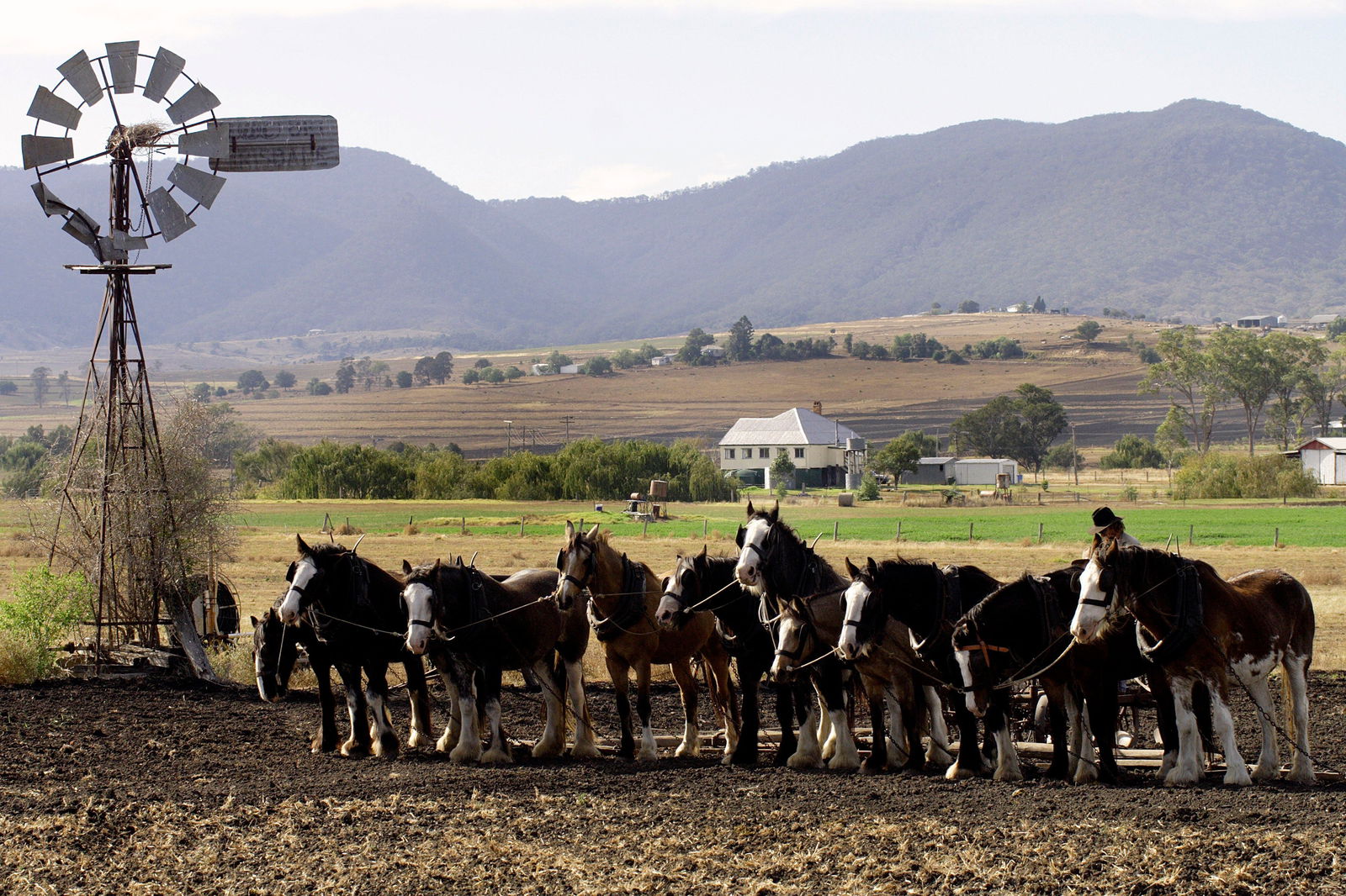Swanfels QLD Inverell Accommodation