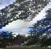 Bilston's Tree - Inverell Accommodation