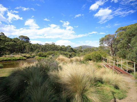 Bullocks Walking Track - Inverell Accommodation 0