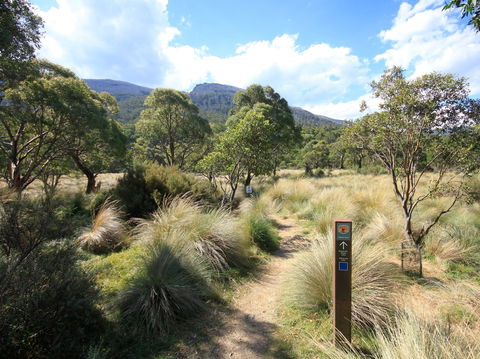 Bullocks Walking Track - Inverell Accommodation 2