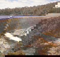 Collie - Inverell Accommodation