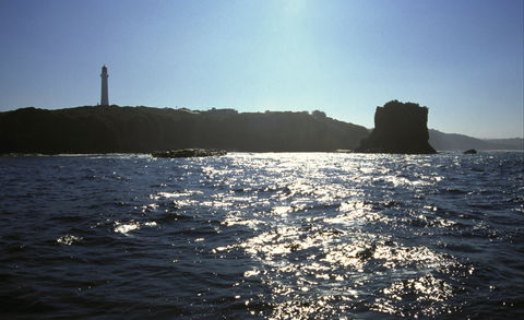 Eagle Rock Marine Sanctuary - Inverell Accommodation 2
