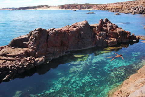 Eyre Peninsula - Inverell Accommodation 0
