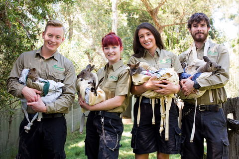 Featherdale Wildlife Park - Inverell Accommodation 0