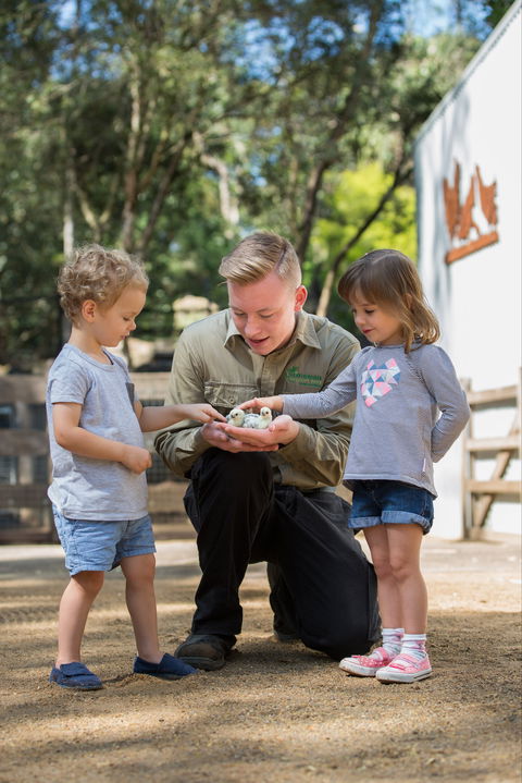 Featherdale Wildlife Park - Inverell Accommodation 2