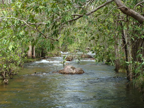 Florence Creek Walk - Inverell Accommodation 0