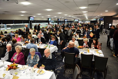 Geelong Greyhound Racing Club - The Beckley Centre - Inverell Accommodation 1