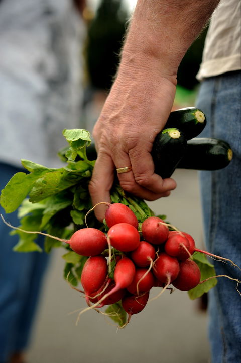 Harvest Launceston Community Farmers' Market - Inverell Accommodation 1