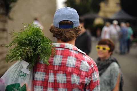 Harvest Launceston Community Farmers' Market - Inverell Accommodation 2