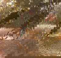 Kholo Gardens Trails - Inverell Accommodation