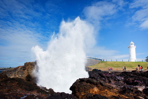 Kiama Blowhole - Inverell Accommodation 0
