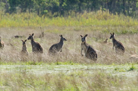 Kosciuszko National Park - Inverell Accommodation 2