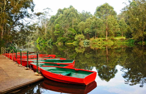 Lane Cove National Park - Inverell Accommodation 0