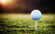 Millicent Golf Course - thumb 0