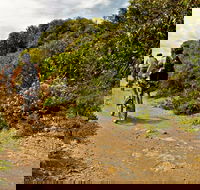 Mountain Biking Trails - Inverell Accommodation