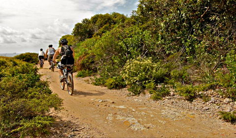 Mountain Biking Trails - Inverell Accommodation 0