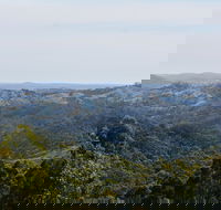 Mount Crawford Forest Reserve - Inverell Accommodation