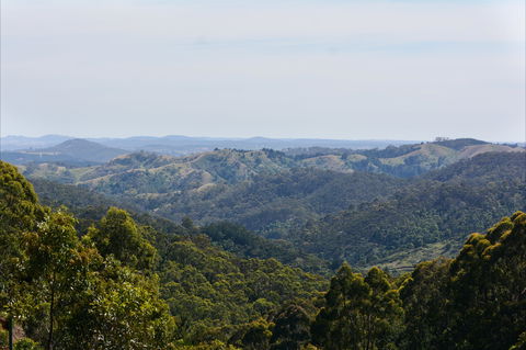 Mount Crawford Forest Reserve - Inverell Accommodation 0