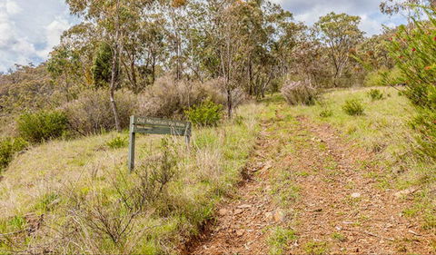 Old Mountain Road Walking Track - Inverell Accommodation 0