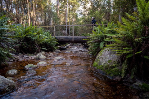 O'Neills Creek Picnic Reserve - Inverell Accommodation 0