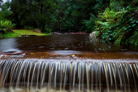 O'Neills Creek Picnic Reserve - Inverell Accommodation 1