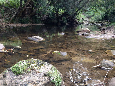 Otford Farm Horse Riding - Inverell Accommodation 2