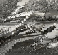 Pioneer Park - Inverell Accommodation