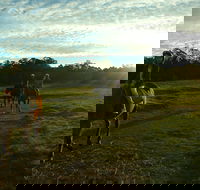 Scenic NSW Horse Riding Centre - Inverell Accommodation