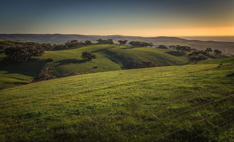 Starfish Hill Windfarm - Inverell Accommodation 1