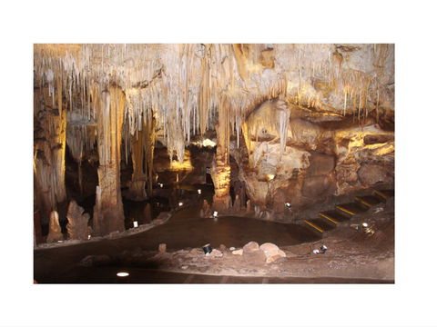 Tantanoola Caves - Inverell Accommodation 1
