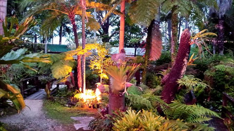The Fernery At Diamond Waters - Inverell Accommodation 0