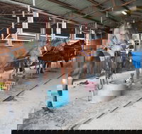 The Equine Club - Inverell Accommodation