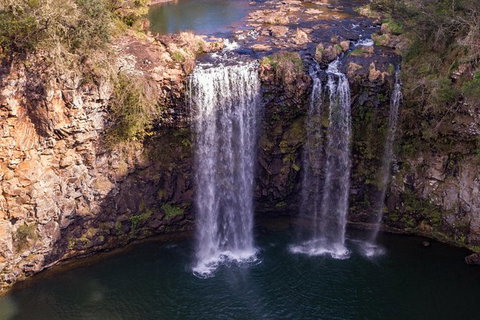 Rainforest & Waterfall Experience - Inverell Accommodation 1