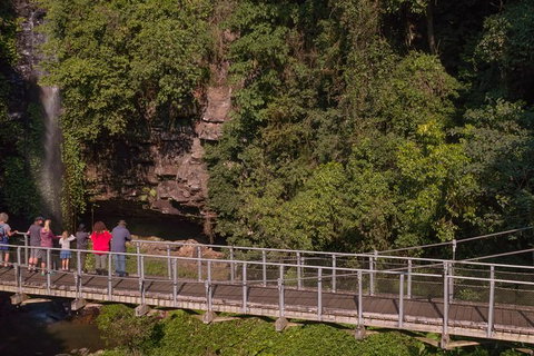 Rainforest & Waterfall Experience - Inverell Accommodation 4