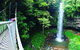 Rainforest & Waterfall Experience - thumb 0
