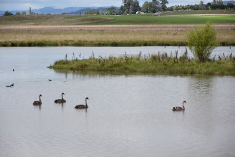 Beardy Waters Dam And Woodlands - Inverell Accommodation 0