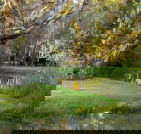 Gateway Island Parklands - Inverell Accommodation