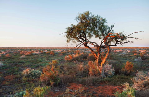 Merton Motor Trail - Inverell Accommodation 0