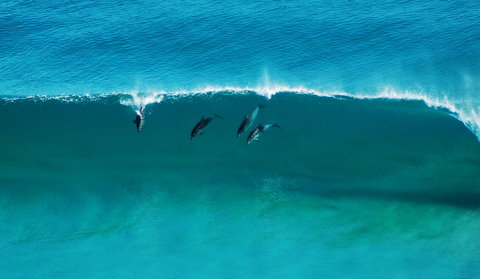 Sand Patch - Inverell Accommodation 1