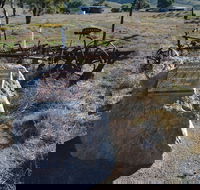 Wangaraleednie Monument  Ruins - Inverell Accommodation