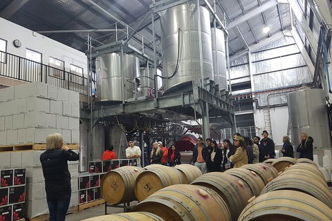 Hunter Valley Small Group Wine, Gin, Cheese & Chocolate Tour - Inverell Accommodation 6