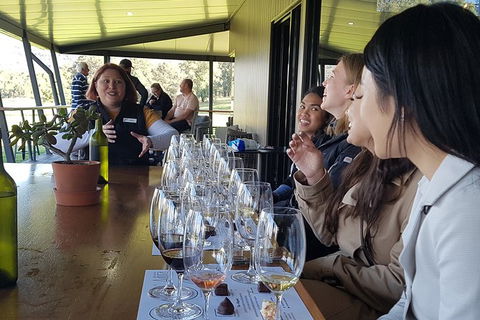 Hunter Valley Small Group Wine, Gin, Cheese & Chocolate Tour - Inverell Accommodation 2