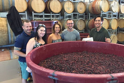Hunter Valley Small Group Wine, Gin, Cheese & Chocolate Tour - Inverell Accommodation 0