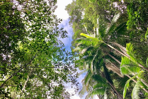 Guided E Bike Tour - Unicorn Falls & National Park - Inverell Accommodation 5