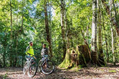Guided E Bike Tour - Unicorn Falls & National Park - Inverell Accommodation 14