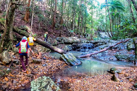 Guided E Bike Tour - Unicorn Falls & National Park - Inverell Accommodation 17